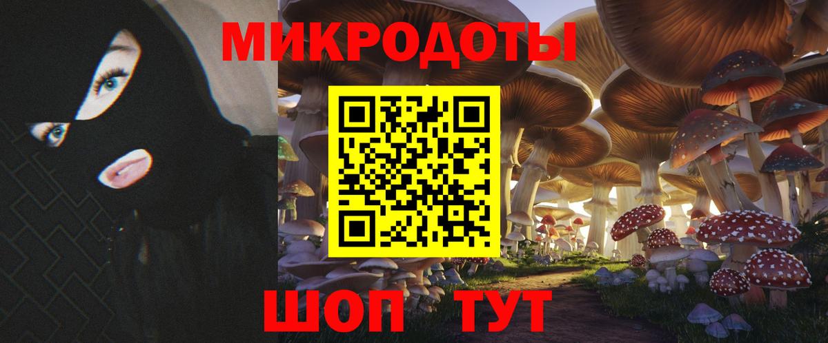 Галлюциногенные грибы Cubensis  Вход с VPN  Краснознаменск 
